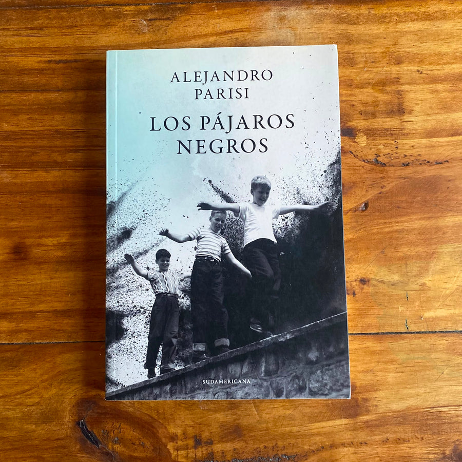 Los pájaros negros
