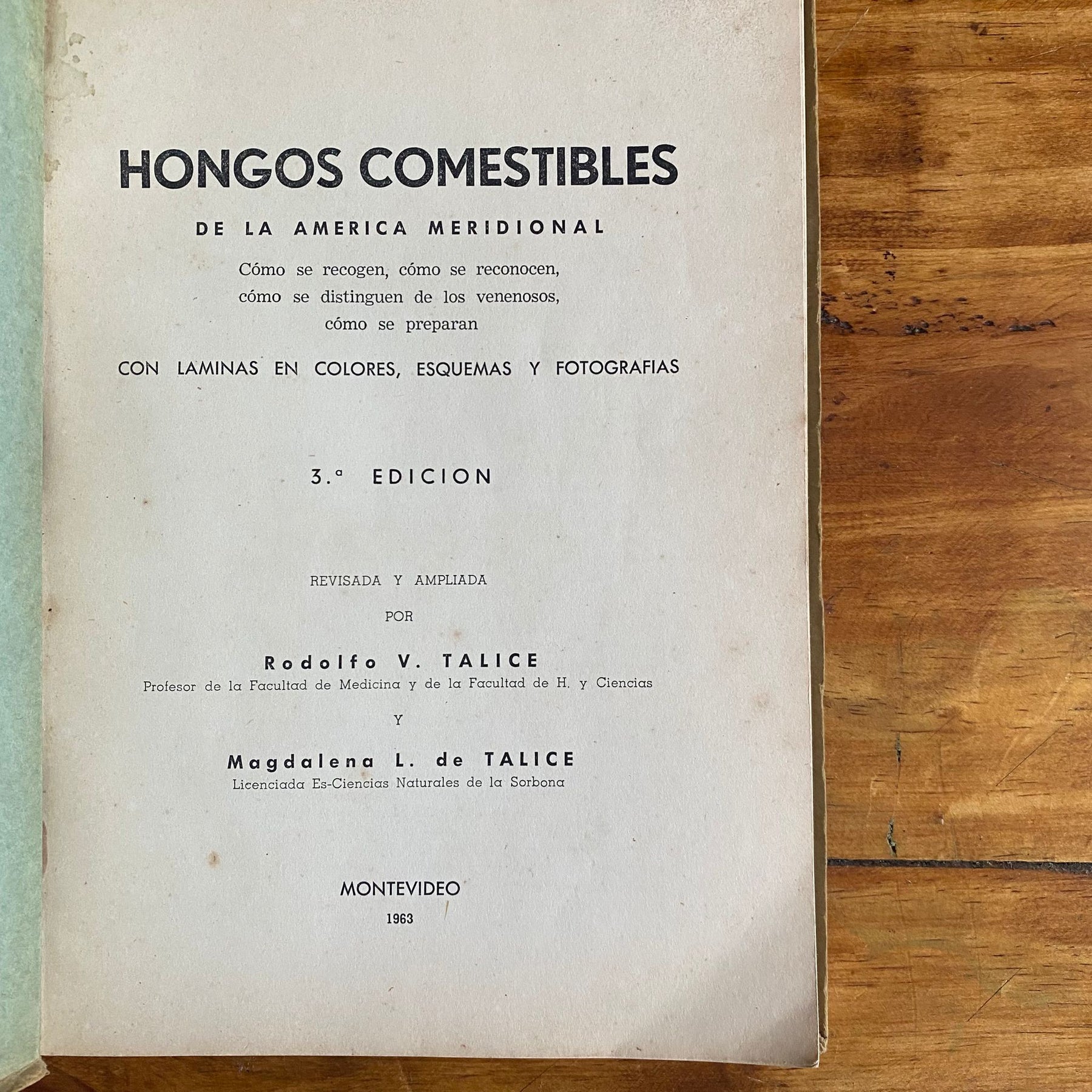 Hongos comestibles de la américa meridional