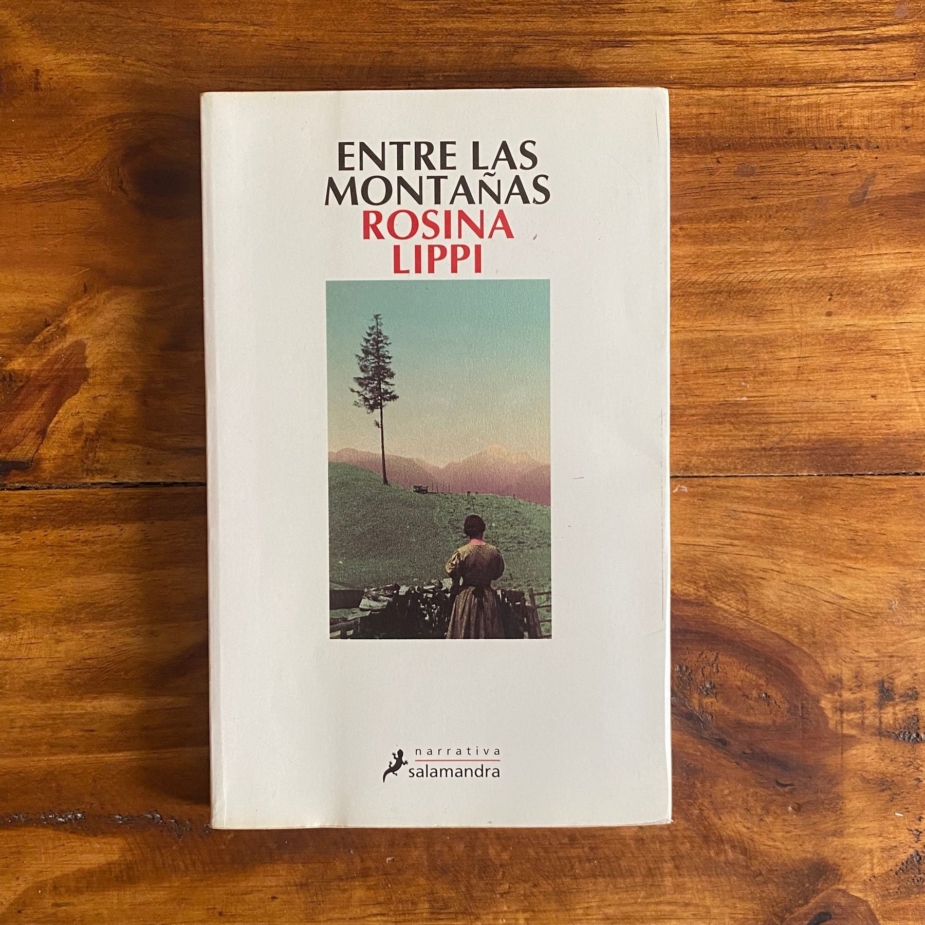 Entre las montañas